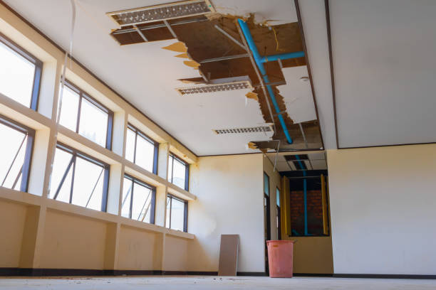 Best Flood restoration services  in Hardin, MT
