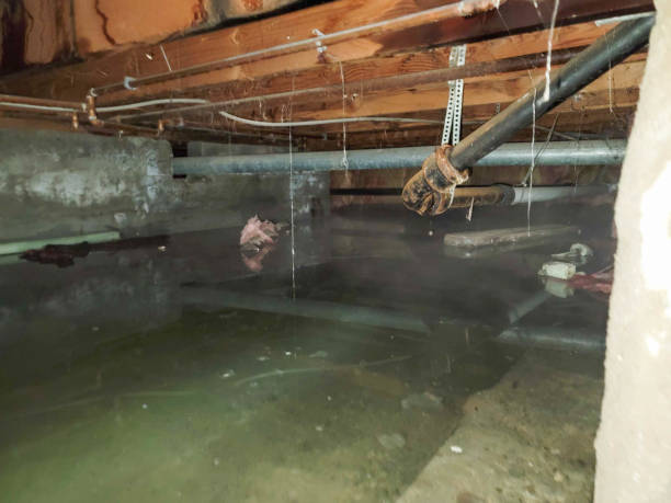 Water damage restoration experts in MT