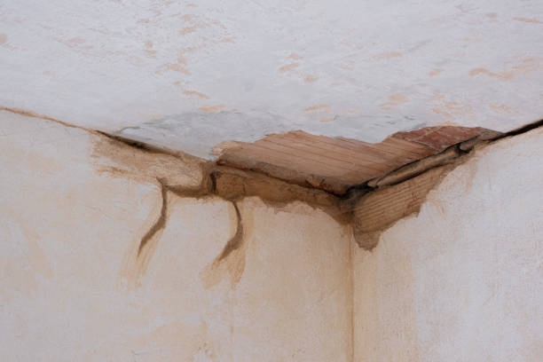 Best Basement water damage restoration  in Hardin, MT