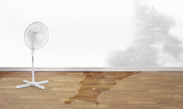 Best Ceiling water damage repair  in Hardin, MT