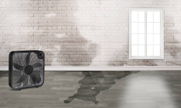 Best Sewage cleanup and water damage restoration  in Hardin, MT