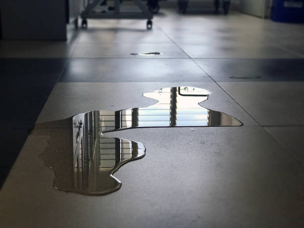 Best Professional water damage repair  in Hardin, MT