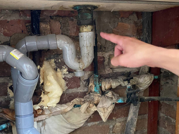 Best Professional water damage repair  in Hardin, MT