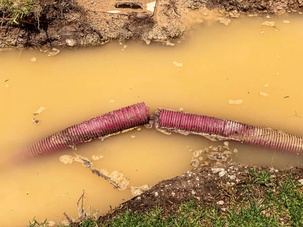Best 24-hour water damage restoration  in Hardin, MT