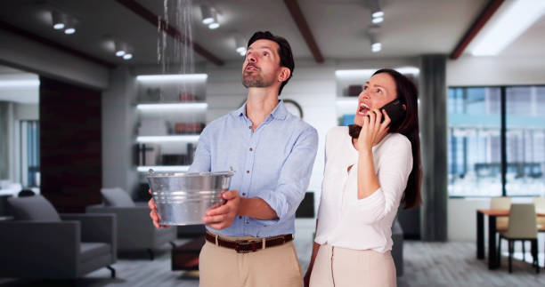 Best Mold removal after water damage  in Hardin, MT