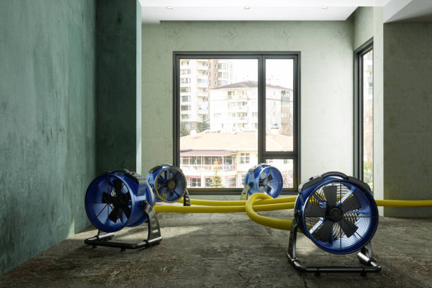 Best Carpet water damage restoration  in Hardin, MT