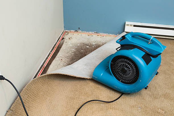 Best Water damage contractors near me  in Hardin, MT